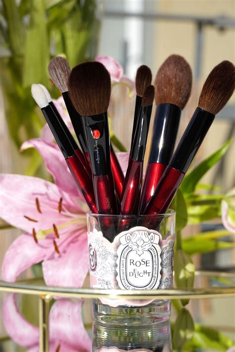 Sonia G Pro Face And Pro Eye Brushes Beauty Is Unique