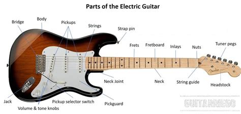 Parts Of The Electric Guitar And Importance Of Each Guitarriego