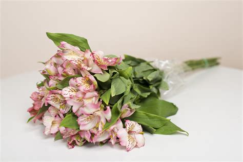 The home gardener and commercial grower supplies the colorful, fragrant blossoms to be used for any occasion, weddings and funerals. Here Are 6 Ways ANYONE Can Transform Cheap Grocery Store ...