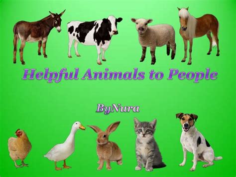 Helpful Animals By N