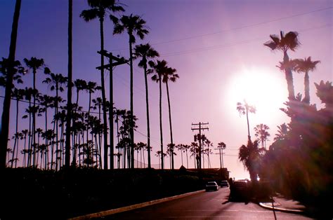 California dreaming Seafolly, California Dreaming, Socal, Hanging Out