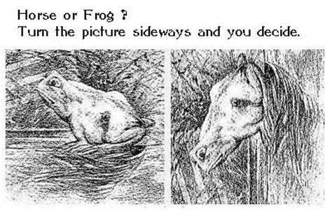 Horse Or Frog Best Illusion Pictures Puzzle