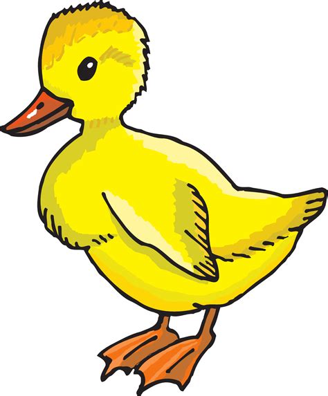 Download Transparent Drawn Duckling Yellow Duck Baby Ducks Clip Art