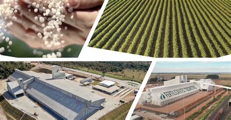 fertilizantes tocantins conclui acordo de integração com suíça eurochem ~ fusões and aquisições