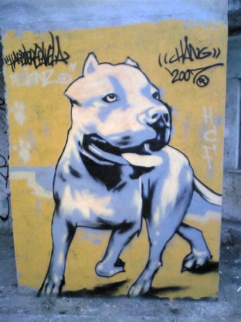 Graffitis Perros Pitbull Imagui