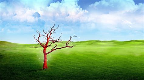 1920x1080 Tree Clouds Grass Sky Nature Red Meadow