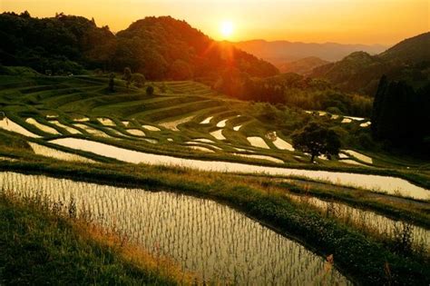 Japans Terraced Rice Fields Will Take Your Breath Away Tsunagu Japan