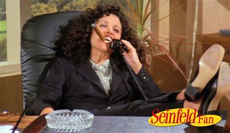 Elaine Benes Seinfeld Fan