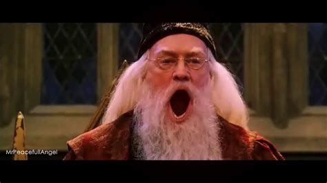 Dumbledore Shouted Calmly Hogwarts Legacy 3 Youtube