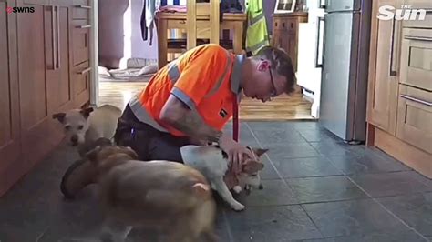Adults too run the risk of choking because hot dogs are often a takeaway option while you're walking or watching a game (and are distracted).2. Owner saves dog from choking on food : HumansBeingBros