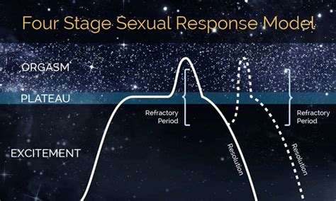 Understanding The Sexual Response Cycle By Kelly Mcdonnell Arnold