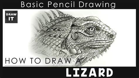 How To Draw A Realistic Lizard Simple Drawing Step By Step Youtube