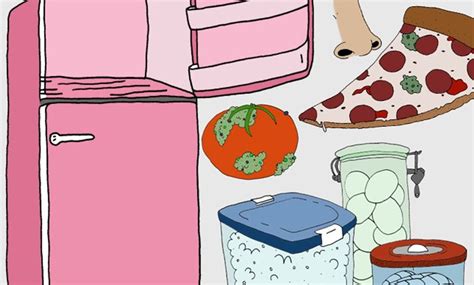 Newsflash Youre Storing Food Wrong — Heres How To Do It Right Brit