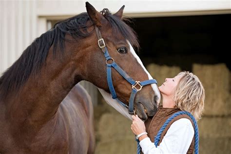 Do Horses Recognize Humans The Horse