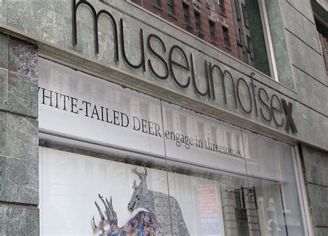 Museum Of Sex Opens New Miami Outpost Florida News