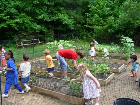 Childrens Vegetable Gardens Introduction Natural Learning