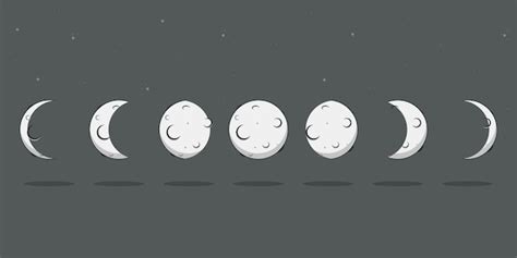 Ilustracao Lunar Do Vetor Das Fases Moon O Ciclo Da Fase Lua Nova Images