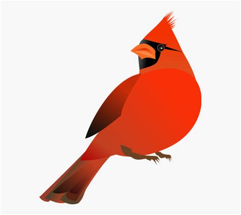 Northern Cardinal St Red Cardinal Bird Clip Art Free Transparent