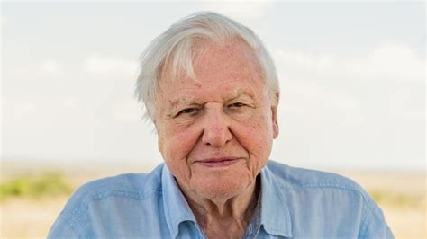 Sir David Attenborough Joins Instagram To Warn The World Is In Trouble