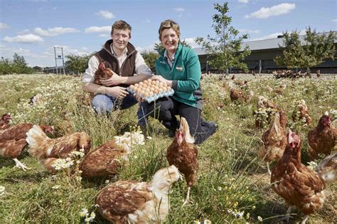 For Farmers Scheme From Uk Grocer Morrisons Raises £20 Million For