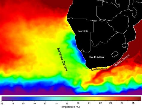It flows down the east coast of africa from 27°s to 40°s. Ocean Currents