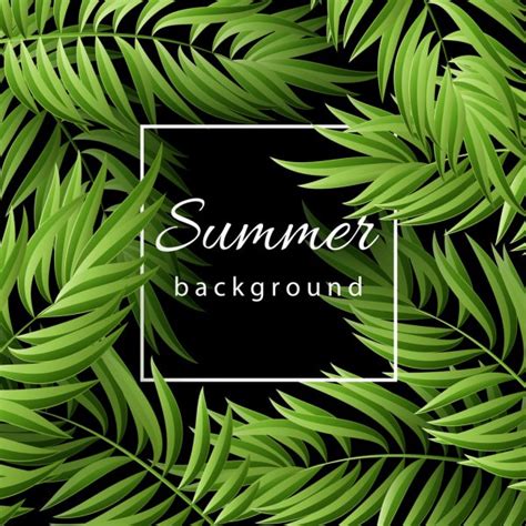 Summer Tropical Background Of Palm Leaves Tropical Palm Leaves