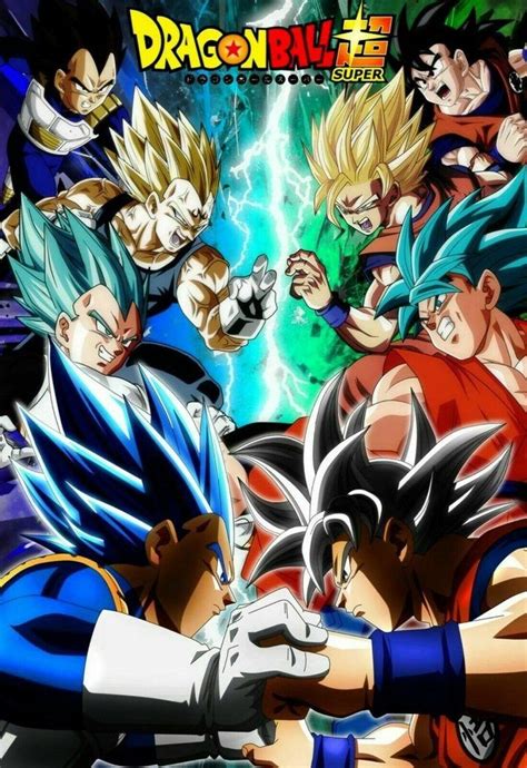 Dragon Ball Super Ultra Instinct Goku Vs Ssj Blue Vegeta Dbz Us Suppli