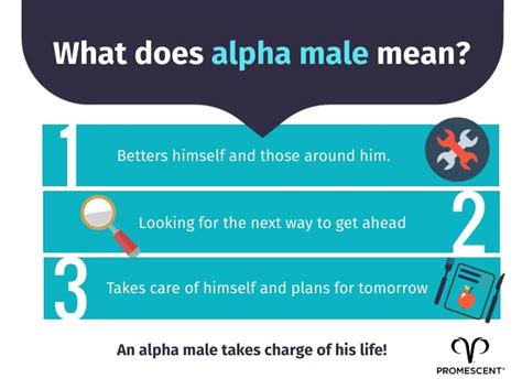 21 Step Guide To Becoming The Alpha Male Youve Always Wanted To Be