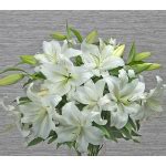 Fragrant White Lily Bouquet White Flower Farm