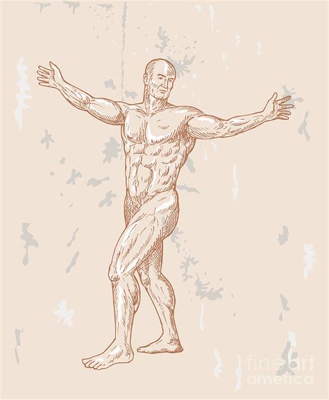 Having trouble finding good references? Male Human Anatomy Digital Art by Aloysius Patrimonio