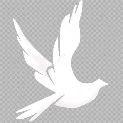 White Dove Dove Sketch Carrier Pigeon Material Png Free Download And