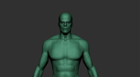 Male Human 3d Model Cgtrader