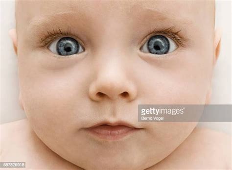 Newborn Baby Face Photos And Premium High Res Pictures Getty Images