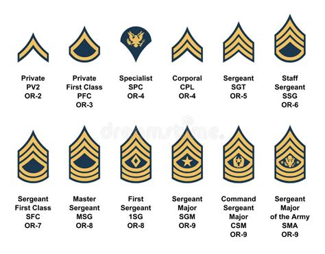 Army Military Rank Insignia Military Drawings Badge Icon Military Ranks