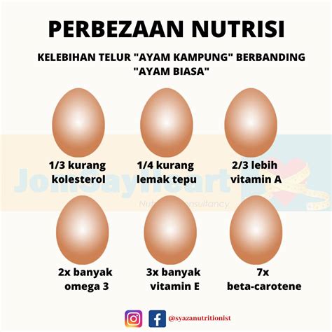 Telur Ayam Kampung Vs Telur Ayam Biasa Mana Lebih Berkhasiat Rumah