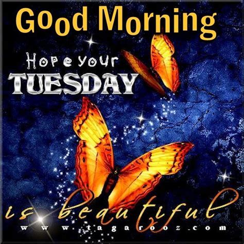 Good Morning Hope Your Tuesday Is Wonderful Good Morning Tuesday