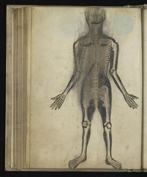 Wound Man And Other Illustrations From Pseudo Galen Anatomia Th
