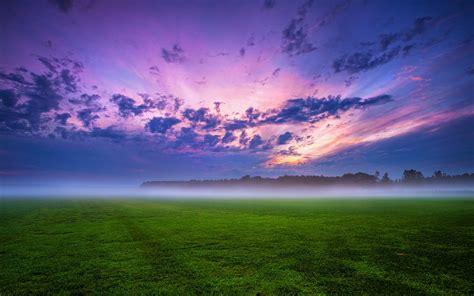 2560x1600 Cloud Field Fog Grass Landscape 4k 2560x1600 Resolution Hd 4k