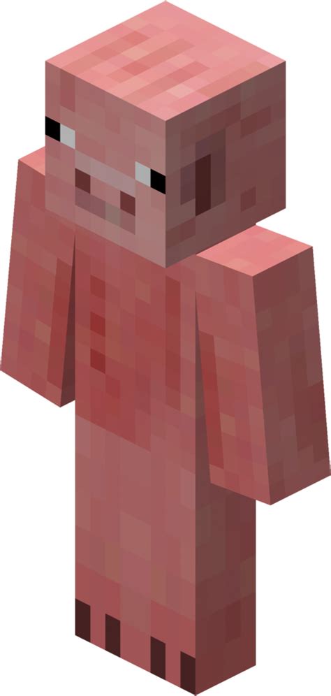 Pig Skin Minecraft Skins Know Your Meme