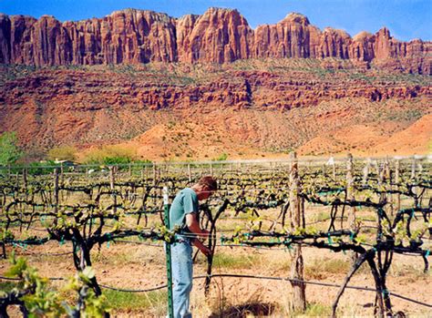 Wineries Discover Moab Utah