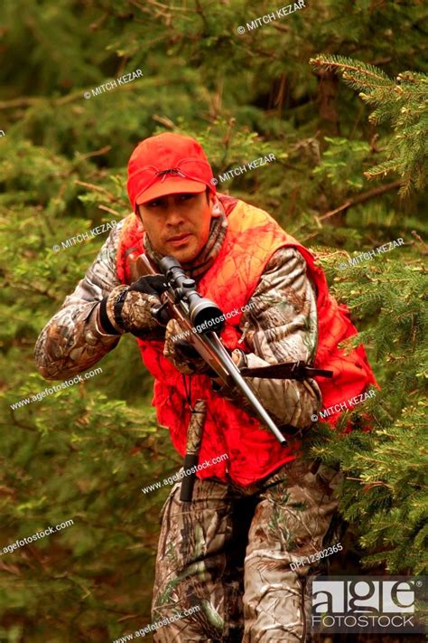 Whitetail Deer Hunter In Blaze Orange Takes Aim With Rifle Stock Photo