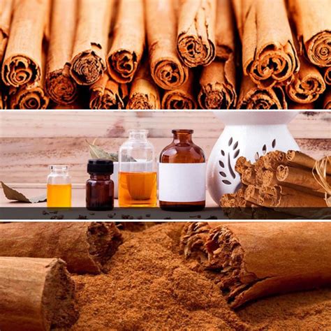 Sri Lanka Achieves Its First Ever Gi Certification With Ceylon Cinnamon