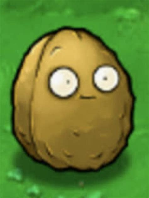 i was todayyearsold when i found out this is not a potato plantsvszombies