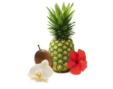 Maybe you would like to learn more about one of these? Vanilla Passion Fruit & Hawaiian Breeze® | Fragrancias Glade