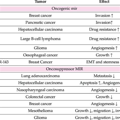 Oncogenic And Oncosuppressor Exo Mirnas And Their Roles In Cancer