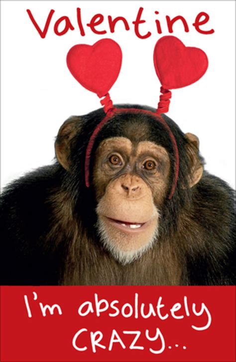 Chimp Wobbly Eyes Valentines Day Card Cards Love Kates