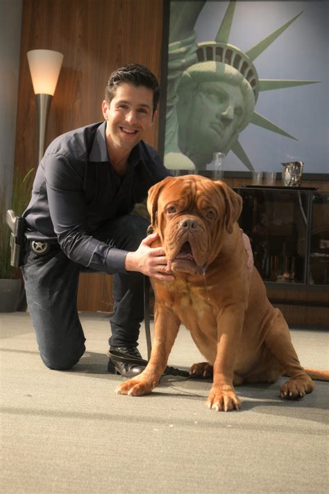 Preview Turner And Hooch Episode 5 Road To Smell Dorado Disney Plus