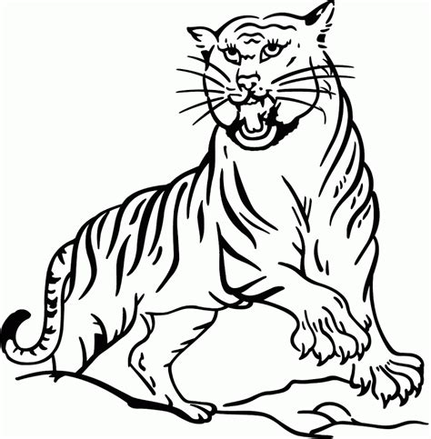 Besplatne slike tigrova u boji preuzmite besplatne isječke i besplatne
