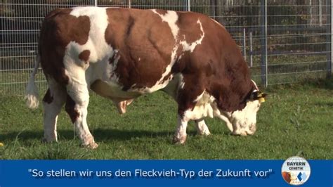Bayern münchen brought to you by: Bayern Genetik presentatie - YouTube