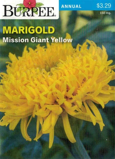 Marigold Mission Giant Yellow Unleashyourseeds